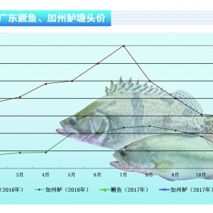 �����|�����~�e�O δ��r��څ��ƽ��������ˮ�aǰ�ء�2017��3�¿��Ј�څ��