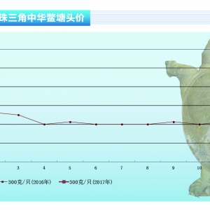 ���~��2�����顰��������������ˮ�aǰ�ء�2017��3�¿��Ј�څ��