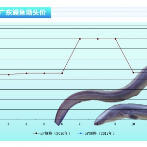���~���~�r(ji��)�S��(w��n)�o(w��)����(d��ng)������ˮ�a(ch��n)ǰ�ء�2017��3�¿��Ј�(ch��ng)څ��(sh��)
