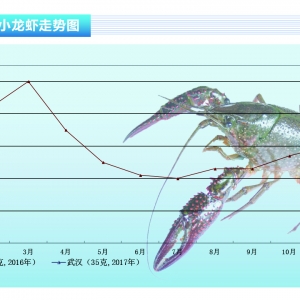 С���r���Ј��r��o���@�q��������ˮ�aǰ�ء�2017��3�¿��Ј�څ��