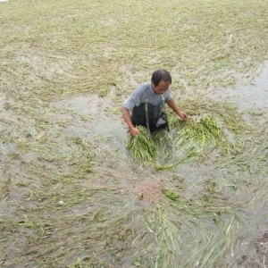 ��Ԕ��(x��)��ˮ�ݼ�(x��)��(ji��)�����c�P(gu��n)�I����Ҫ�c(di��n)�ڴ�