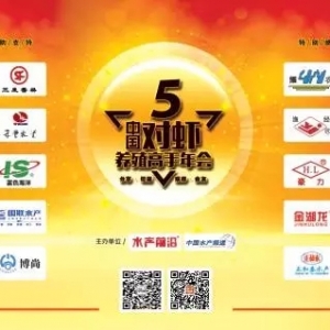 һ�󲨈DƬ��(l��i)�u�����(l��i)����߀����Щ�z©�ľ��ʿ��c(di��n)��