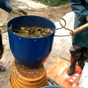 �S��~(y��)�r(ji��)���֝q�� �Ј�(ch��ng)�N(xi��o)�����»�