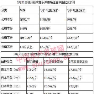 ���~�r���ϝq�������@ ���Ј����w�������½�