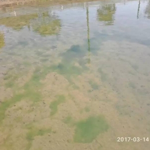 90%����з��������̦��������������A����������