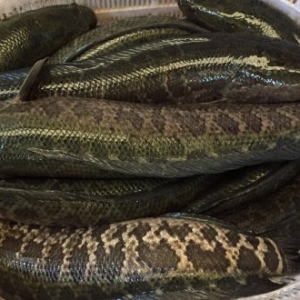 ���~�Ј��N������ �����·ݺ��~�r����������