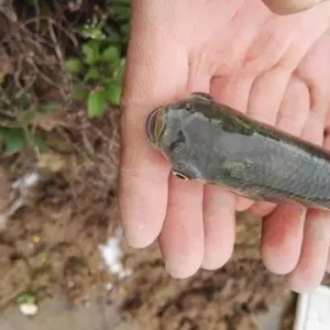 �����ϲ��F(xi��n)���~��������������ע�䡰�������硱