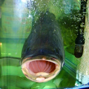 �Ј�������˥�ˣ��_�����~������7�_��/β