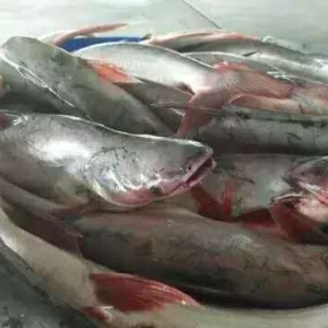 Խ�ϰ�ɳ�~�a(ch��n)�I(y��)�^�m(x��)���������Ƅ��_���~�Ј���ů��