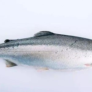 Ų�������~��һ���ȁ��޺��������������29%���W�����M���½�15-35%