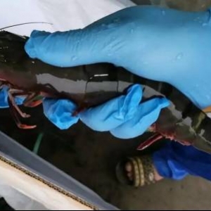 ���Ϻ����״����M̩���x���߹�(ji��)���r�����ƌ��r�B(y��ng)ֳ���B���ϵK���F(xi��n)��