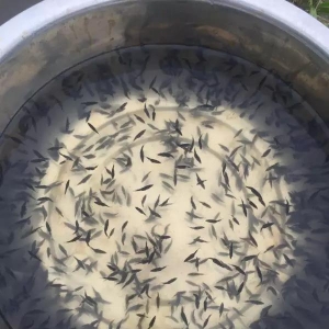 �������࣬�r���»���4��6��ȫ�����~��Ҫ�Bֳ�^������r