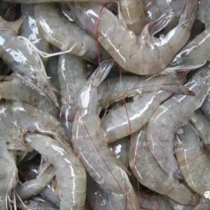 7�l���a(ch��n)�����r��FDA�ܽ^�M�ڣ������I(y��)��ڰ��؄e��Խ�ϵ��@����˾��