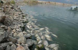 �@��(g��)�_���~�����͡����֡�5-10�¾��ɰl(f��)��������ɶ����_���~����