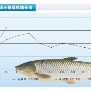 ���~��4������߀����������������ˮ�aǰ�ء�2017��4�¿��Ј�څ��