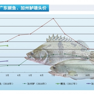 �����|��Ͷ��߷���R �r��С���ϝq������ˮ�aǰ�ء�2017��4�¿��Ј�څ��