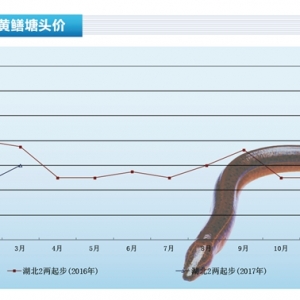 �S�X���Ј�ƽ�� �΄ݿ��á�����ˮ�aǰ�ء�2017��4�¿��Ј�څ��