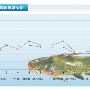 �S��~��4�������^�m(x��)�ϝq���g������ˮ�a(ch��n)ǰ�ء�2017��4�¿��Ј�(ch��ng)څ��(sh��)