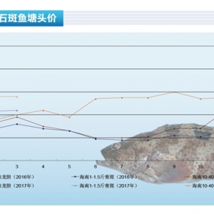 ʯ���~�����~������ �Ј��r�����С�����ˮ�aǰ�ء�2017��4�¿��Ј�څ��