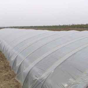 4��r(sh��)�g����l(f��)չ����1000��С��ɹ����_(d��)6�����ϣ���ģʽ��ʲô��