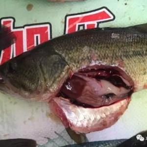 һ������������_�S�o�����|���K����