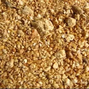 �����l�F�l�Ͷ��ɿ�������r�����50%���~��