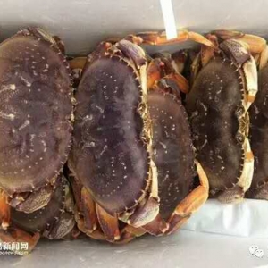 �M(j��n)�����������ô��䌚з30%�ۙz�����ô���ΰ���Խ�ϻ���r100%�ۙz��