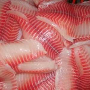 �_���~���ڃr���m��(w��n)�����������Ј�ƽ�������������˓�(d��n)�n