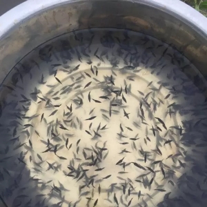 4��27�չ��~��Ҫ�Bֳ�^������r���������