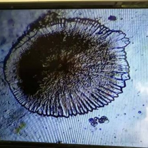 �װ߲��س�����������Щ����Ӱ푣�