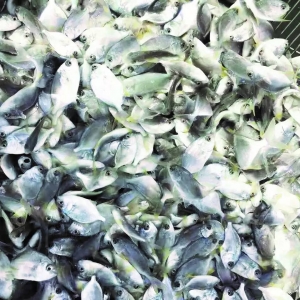 Ԕ����K�~�~��˴��^�̣�ԭ���Bֳӯ�����P�I�c���@�