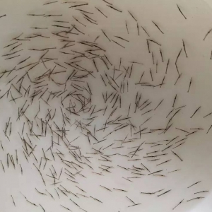 �qһƬ��߀Ҫ����I�磬�߹����r���ǳ���߀������Ј���ȱ��