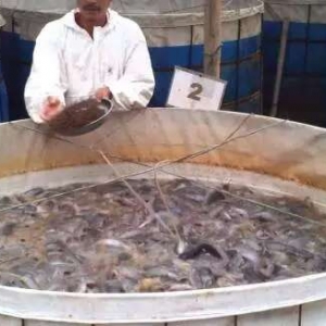 �Bֳ�T�~��߮a��ÿ�����׿��_��250���