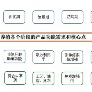 һ���Bֳ������x���|�������