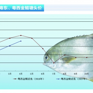 ���K���~�r���m4�B�q �ݝO�ں��и��ߡ�����ˮ�aǰ�ء�2017��4�¿��Ј�څ��