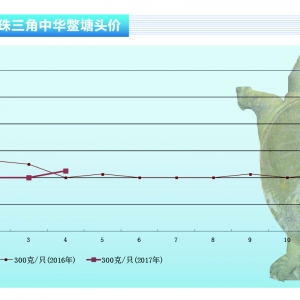 ���~���~�r���m�ϝq������ˮ�aǰ�ء�2017��5�¿��Ј�څ��