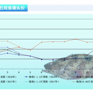 ʯ���~�����~�r�����څ�� ��N�������󡪡���ˮ�aǰ�ء�2017��5�¿��Ј�څ��