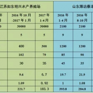 ���S���B�r������ɽ�|����s��|����ζ��܌��F����X