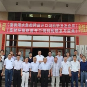 ̖�⣡�����_���ڻ��D����ȫ����ѳɿ�������