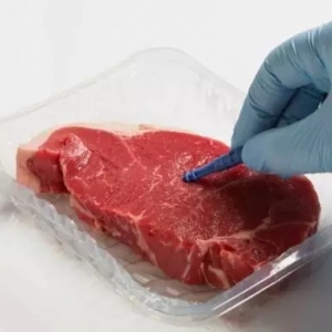 �@헼��g����ԶŽ^����͓������r