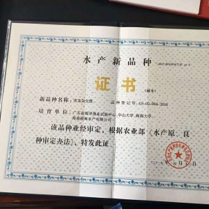 �����s����:��һ�l���J����ˮ�a��Ʒ�N��ʯ���~