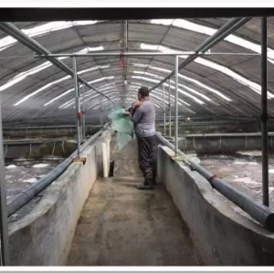 �����B�rʧ������̝���������B�m8���r�ɹ����X�����f������������u�ɹ���?