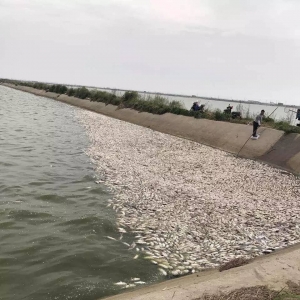 �߷�ÿ��������120�f���ĩ���K�غ���β�t�Bֳ�������v��ʲô��