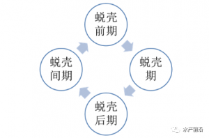 ͑���P�I�ں�з�����а����l�����@����һ�ݺ�з͑���{�з�����������ʩՈ�պã�