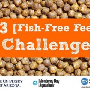 �@��������_20�f��Ԫ�ć��H��������N�۱�ِ�����к����c��