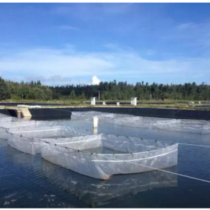 �����׌��r������Ʒ�N��������Ƈ����x���H�r��ƫҊ