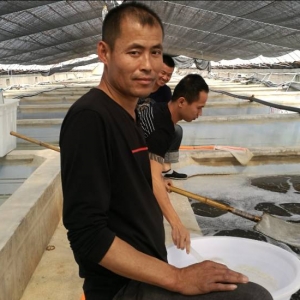 ���p��ȡ�Å^(q��)���N����һ�����e�˼ҵĽ�(j��ng)�N�̡����������ӟ��ɵģ�