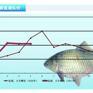 �a�~���A�|�^�~�rֱ������������ˮ�aǰ�ء�2017��6�¿��Ј�څ��