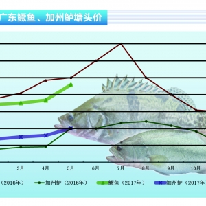 �����|���r���q δ�������Կ��ڡ�����ˮ�aǰ�ء�2017��6�¿��Ј�څ��