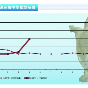 ���~��5���~�r�q����硪����ˮ�aǰ�ء�2017��6�¿��Ј�څ��